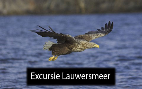 excursie lauwersmeer